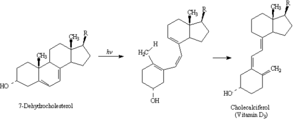 Exhibit 30-8 Classify each of the following sigmatropic reactions by order [x, y]. 26.   ANSWER: [3, 3]   POINTS: 1 27.   ANSWER: [1, 7]   POINTS: 1 28.   ANSWER: [1, 5]   POINTS: 1 Exhibit 30-9 Vitamin D<sub>3</sub>, cholecalciferol, is synthesized under the skin by the photochemical pericyclic process shown below. Answer the following question(s)  about these reactions.   -Refer to Exhibit 30-9. The first step in this process is a(n) : A)  sigmatropic rearrangement B)  cycloaddition reaction C)  annulation reaction D)  electrocyclic reaction