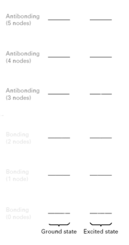 Consider the following MO diagram for a conjugated triene.   When irradiated with light of the appropriate wavelength, how many electrons will be in bonding MO's? A)  6 B)  5 C)  4 D)  3