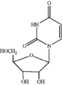 Which of the following is uridine? A   B   C   D   ​ A)  A B)  B C)  C D)  D