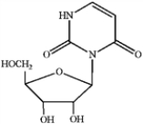 Which of the following is uridine? A   B   C   D   ​ A)  A B)  B C)  C D)  D