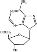 Which of the following is deoxyadenosine? A   B   C   D   ​ A)  A B)  B C)  C D)  D