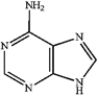 Which of the following is deoxyadenosine? A   B   C   D   ​ A)  A B)  B C)  C D)  D