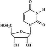 Match each of the following terms to a structure from the list below. There is only one correct structure for each term and structures may be used more than once. -a pyrimidine nucleoside A) Sanger dideoxy method B) GAUCGUAAA C) Watson-Crick D) translation E)   F)   G) transcription H) Maxam-Gilbert method I) AUGGCUGAG J) replication K)   L)   M) AGATCGCTC
