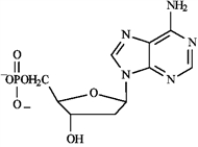 Match each of the following terms to a structure from the list below. There is only one correct structure for each term and structures may be used more than once. -a pyrimidine nucleoside A) Sanger dideoxy method B) GAUCGUAAA C) Watson-Crick D) translation E)   F)   G) transcription H) Maxam-Gilbert method I) AUGGCUGAG J) replication K)   L)   M) AGATCGCTC