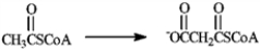 The following sequence represents the steps in the biosynthesis of fatty acids. Step Type of Reaction 1 nucleophilic acyl substitution 2 nucleophilic acyl substitution 3 carboxylation 4 nucleophilic acyl substitution 5 condensation 6 reduction 7 dehydration 8 reduction a)In which step is the new carbon−carbon bond that builds the fatty acid chain formed? b)In which step does the following reaction occur?   c) Complete the reaction below by giving the species that should be placed in each box.   d) In which step is the mechanism identical to the conversion of pyruvate to oxaloacetate in gluconeogenesis? e) In what respect are steps 1 and 2 identical to steps 3 and 4? f) In which step is the butyryl group formed?