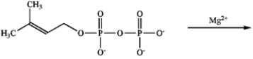 Draw the structure of the carbocation intermediate that results from the following step in terpene synthesis.  
