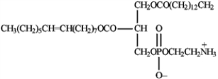 Match each of the given terms to a structure from the list below. There is only one correct structure for each term, and structures may be used more than once. -A terpenoid A)   B)   C)   D)   E)   F)   G) Malonyl ACP H)   I)   J)  