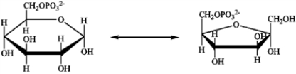 Which enzyme catalyzes the reaction shown? A) an epimerase B) an isomerase C) a mutase D) a dehydrogenase