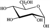 Circle the carbon atoms in the molecule of glucose shown that enter the citric acid cycle as −CH<sub>3</sub> groups.  