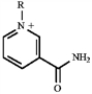Match a term or structure from the list below to each of the following definitions or names. Embden-Meyerhoff Embden-Meyerhoff -Uses the energy produced in the citric acid cycle to make ATP. A) electron-transport chain B) C) citric acid cycle D) Embden-Meyerhoff E) glycolysis F) G) Hans Krebs H) catabolism I) ATP J) K) fatty acid spiral L) anabolism M) acetyl CoA N) O) P) gluconeogenesis Q) metabolism