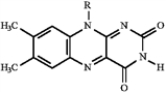 Match a term or structure from the list below to each of the following definitions or names. Embden-Meyerhoff Embden-Meyerhoff -Uses the energy produced in the citric acid cycle to make ATP. A) electron-transport chain B) C) citric acid cycle D) Embden-Meyerhoff E) glycolysis F) G) Hans Krebs H) catabolism I) ATP J) K) fatty acid spiral L) anabolism M) acetyl CoA N) O) P) gluconeogenesis Q) metabolism