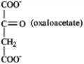Match a term or structure from the list below to each of the following definitions or names. Embden-Meyerhoff Embden-Meyerhoff -Uses the energy produced in the citric acid cycle to make ATP. A) electron-transport chain B) C) citric acid cycle D) Embden-Meyerhoff E) glycolysis F) G) Hans Krebs H) catabolism I) ATP J) K) fatty acid spiral L) anabolism M) acetyl CoA N) O) P) gluconeogenesis Q) metabolism