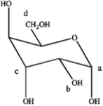 Refer to the carbohydrate below to answer the following questions.   a)Which carbon in the carbohydrate is the anomeric carbon? b)Does this represent an α or β-anomoer?