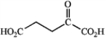 What amino acid is the following α-keto acid derived from?