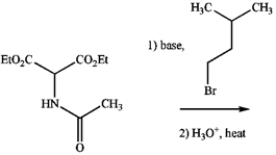 Which amino acid results from the following sequence of transformations?  