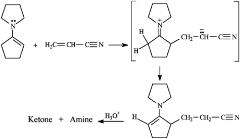 The Stork enamine reaction is a variation on the Michael reaction that utilizes an enamine nucleophile. Use this information to answer the following question.   -Refer to instructions. Draw the structures of the ketone and amine products of this reaction.