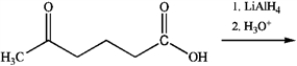 What is the major organic product obtained from the following reaction?   A)    B)    C)    D)   