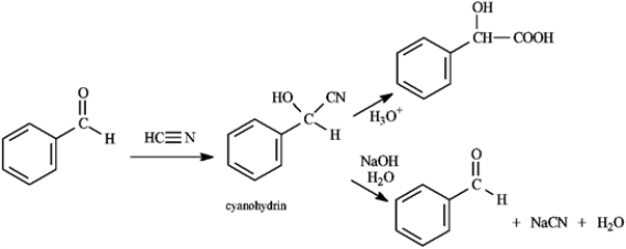 <strong>Consider the data below to answer the following question(s). Cyanohydrins are important intermediates in the synthesis of α-hydroxycarboxylic acids from ketones and aldehydes. The nitrile functional group can be hydrolyzed by aqueous acid to yield a carboxylic acid. Nitriles can also be hydrolyzed to carboxylic acids using aqueous base. When a cyanohydrin is treated with aqueous base, however, the original carbonyl compound is isolated. Refer to instructions. The reaction of an aldehyde with hydrogen cyanide is an example of _____ reaction.</strong> A) a nucleophilic substitution B) an electrophilic addition C) an electrophilic substitution D) a nucleophilic addition