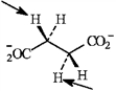 Identify the indicated hydrogens in the following molecules as pro-R or pro-S. -Identify:   succinate