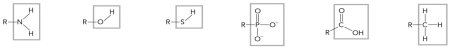 Identify the following functional groups.  