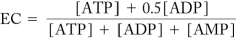 Given the energy charge equation below,if a biological system has an EC = 0.8,what is true about the concentrations of ATP,ADP,and AMP in the system?   A)  The concentrations are all equal. B)  There is more ADP in the system than ATP or AMP. C)  There is more ATP in the system than ADP or AMP. D)  There is more AMP in the system than ATP and ADP.