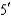 Predict the complementary strand of the following DNA sequence:   -ATCTGAATCT-   A)    -   -   B)    -   -   C)    -   -   D)    -   -  
