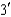 Predict the complementary strand of the following DNA sequence:   -ATCTGAATCT-   A)    -   -   B)    -   -   C)    -   -   D)    -   -  