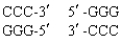 <strong>Identify the products when Smal cleaves the following DNA sequence. </strong> A) B) C) D)