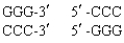 <strong>Identify the products when Smal cleaves the following DNA sequence. </strong> A) B) C) D)