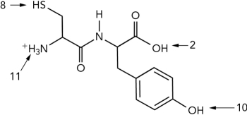 What is the pI of the dipeptide shown? (Use the pK as given.)    A)  0 B)  5 C)  9 D)  10.5