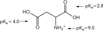 What is the approximate net charge of the molecule shown below at pH 7?   A)  +1 B)  0 C)  -1 D)  -2