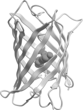 Which class of protein structures does the protein shown below fit into?   A)  predominantly  -helical B)  predominantly  -sheet C)  intermixed  -helix and  -sheet D)  domains of  -helix adjacent to domains of  -sheet
