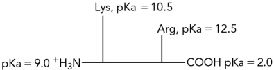 Calculate the pI for the following dipeptide using the pKas shown.  