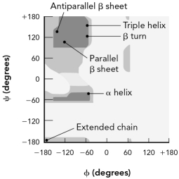 Use the theoretical Ramachandran plot at the top to evaluate the two experimental plots on the bottom.Describe the likely secondary structures found in each experimental plot.      