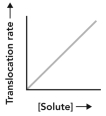 <strong>Consider the transport scenario shown.Which curve represents the overall movement of the small molecule from the extracellular environment to the cytosol? </strong> A) B) C) D)
