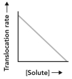 <strong>Consider the transport scenario shown.Which curve represents the overall movement of the small molecule from the extracellular environment to the cytosol? </strong> A) B) C) D)