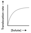 <strong>Consider the transport scenario shown.Which curve represents the overall movement of the small molecule from the extracellular environment to the cytosol? </strong> A) B) C) D)