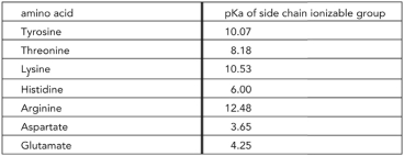 Decide if the rate of malate transport by the Omp32 protein of Delftia acidovorans will be affected if the pH of the system is changed from 6.8 to 8.2.Explain your reasoning. The pKa of amino acids with ionizable side chains are provided in the table below.Note that malic acid contains two ionizable groups with pKa of 3.40 and 5.20.Assume in this scenario that the pH change does not alter the overall conformation of the protein.  