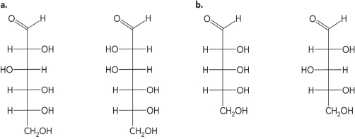 What is the relationship between the molecules in the figure below?   A)  They are isomers. B)  They are anomers. C)  They are epimers. D)  They are identical.