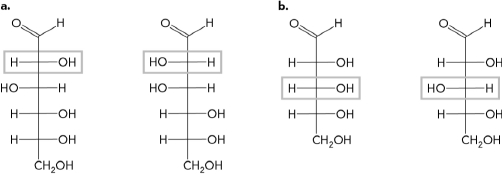 Given figures A and B below,label the chiral center on each and state if the molecule is a D or L enantiomer.  