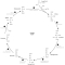Identify the E2 subunit in the reaction schematic of the pyruvate dehydrogenase reaction below.   A)  pyruvate dehydrogenase B)  dihydrolipoyl dehydrogenase C)  dihydrolipopyl acetyltransferase D)  flavin adenine dinucleotide