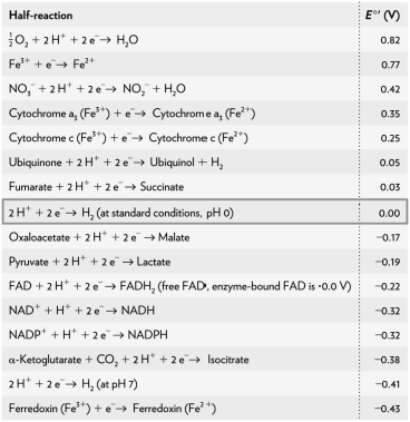  Using the table below,calculate    and determine if the conversion from malate to oxaloacetate is favorable under standard biochemical conditions. Malate + NAD<sup>+ </sup> \to  Oxaloacetate + H<sup>+</sup> + NADH   