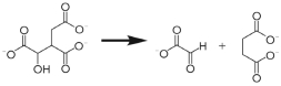 The glyoxylate cycle reaction shown below is catalyzed by which enzyme class?   A)  lyase B)  hydrolase C)  transferase D)  oxidoreductase