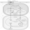 Identify the cell types of cells A and B below,and then identify the plant type in which the cell arrangements are found.  