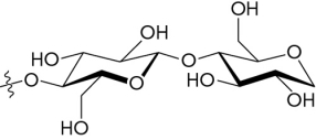 The image below shows a(n) __________ glycosidic bond.   A)    -1,4- B)    -1,4- C)    -1,6- D)    -1,6-