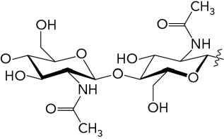 The image below shows a(n) __________ glycosidic bond.   A)    -1,4- B)    -1,4- C)    -1,6- D)    -1,6-