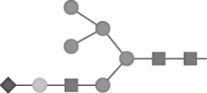 The glycan fragment shown on the right has been cleaved by glycosylase enzymes,and HPLC analysis has produced the peaks 1 to 6.     Which of the following fragments corresponds to peak 5? A)    B)    C)    D)   