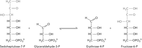 Which enzyme class catalyzes the following pentose phosphate pathway reaction?   A)  lyase B)  transferase C)  oxidoreductase D)  isomerase