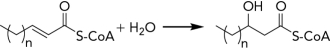 What enzyme class catalyzes the following reaction?   A)  ligase B)  hydratase C)  transferase D)  oxidoreductase
