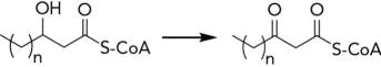 What enzyme class catalyzes the following reaction? (Note that there may be some missing reactants and products.)    A)  lyase B)  hydrolase C)  transferase D)  dehydrogenase